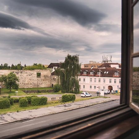 Guesthouse Zlaty Hrozen Česká Lípa Buitenkant foto