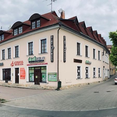 Guesthouse Zlaty Hrozen Česká Lípa Buitenkant foto