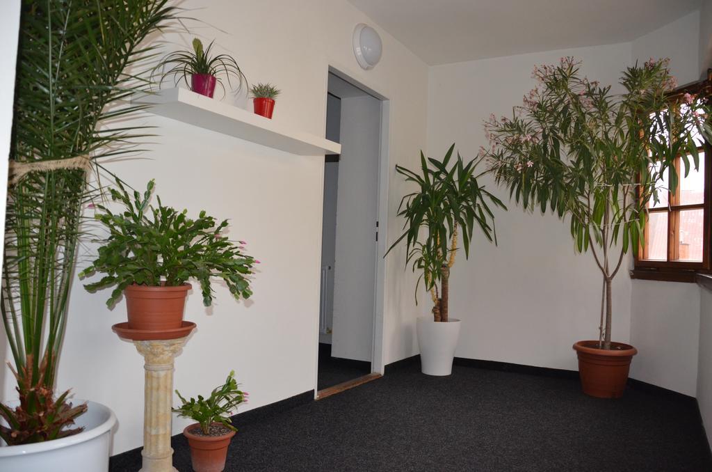Guesthouse Zlaty Hrozen Česká Lípa Buitenkant foto