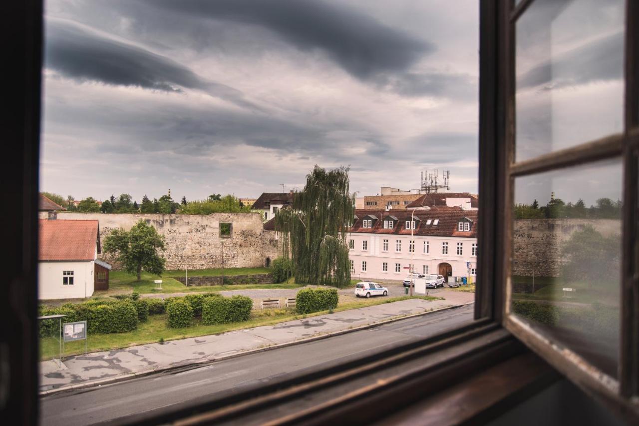 Guesthouse Zlaty Hrozen Česká Lípa Buitenkant foto